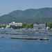 Miyajima Oyster Beds P4279785 by merrelyn