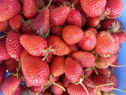 20th May 2023 - Strawberry season