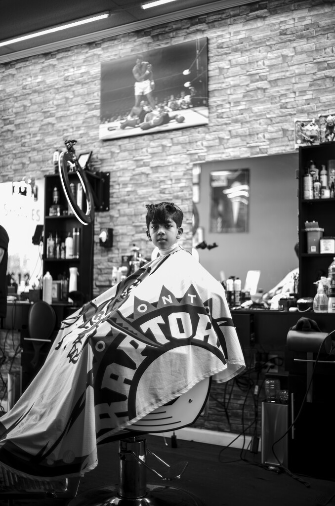 Haircut time…. by ramr