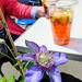 Clematis and Pimm's  by boxplayer
