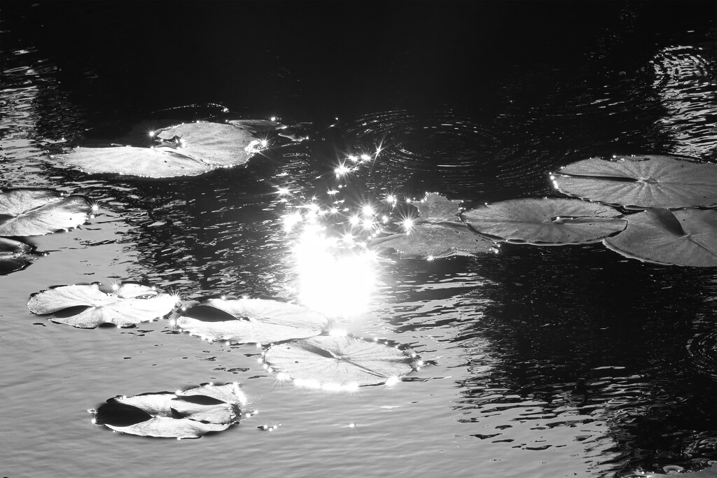 Water sparkles by dkbarnett
