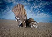 21st May 2023 - Seashell on the Beach