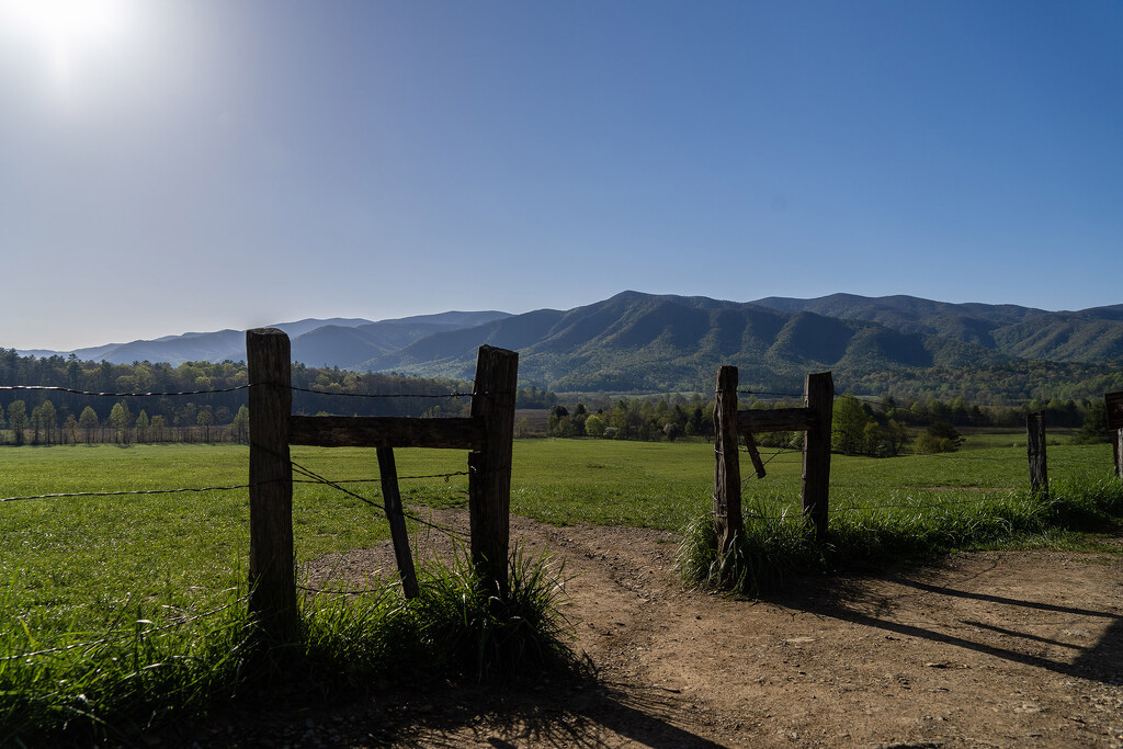 Cades Cove Field by k9photo