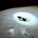 Leteći mrav šeće by vesna0210