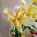 Fresh cut Iris by larrysphotos