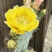 Cactus  by loweygrace