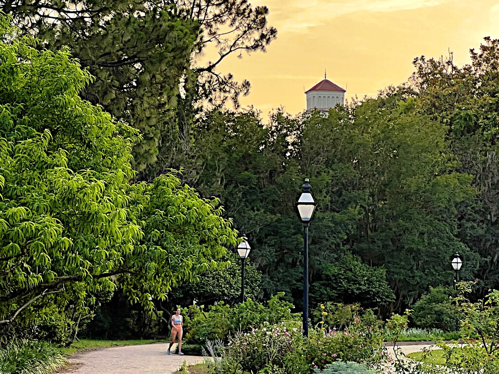 Hampton Park scene at dusk by congaree