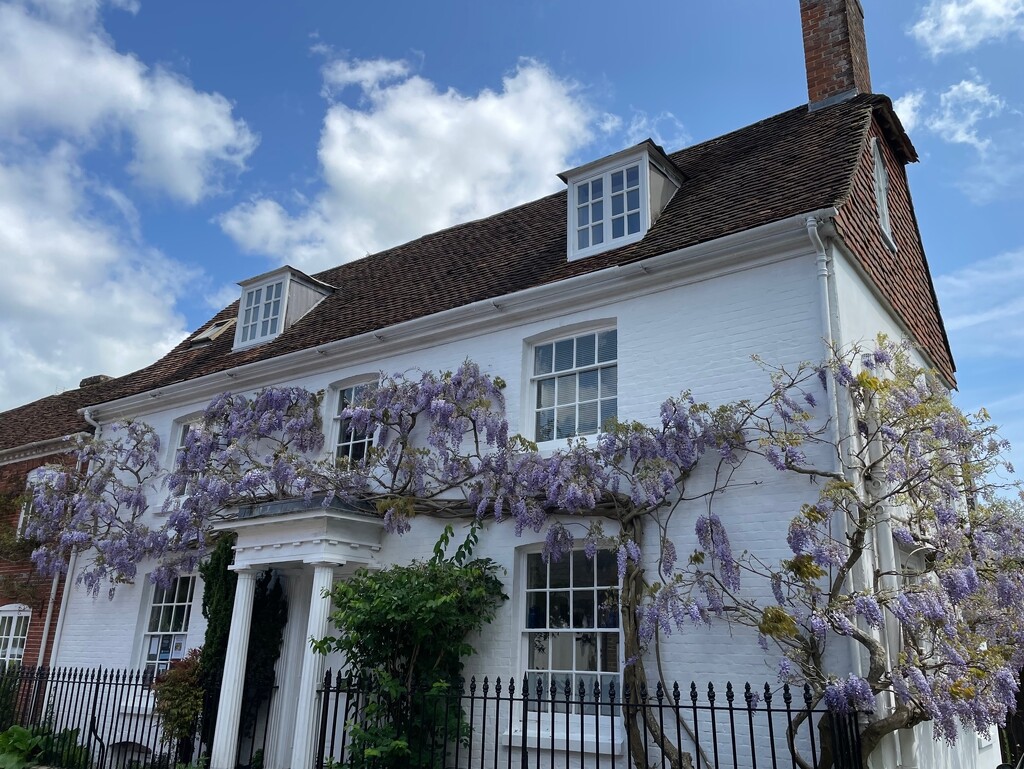 a house with wisteria by quietpurplehaze