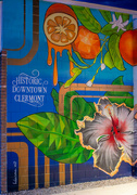 8th Apr 2023 - Clermont mural