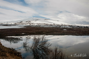 19th May 2023 - More from Saltfjellet