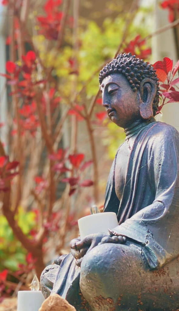Day 125: Buddha Back In The Garden by sheilalorson