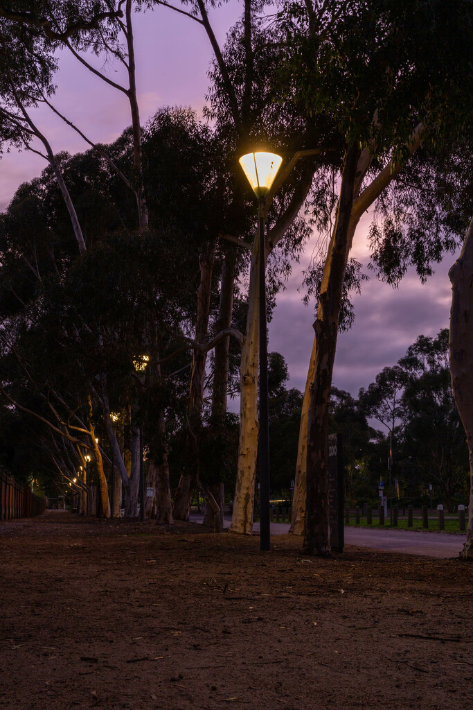 Twilight at the Melbourne Zoo by briaan