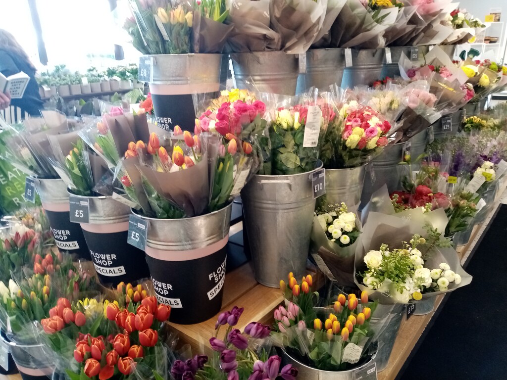 Flowers in M and S by foxes37