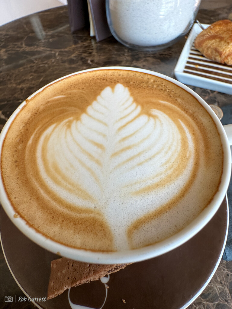Cappuccino  by robgarrett