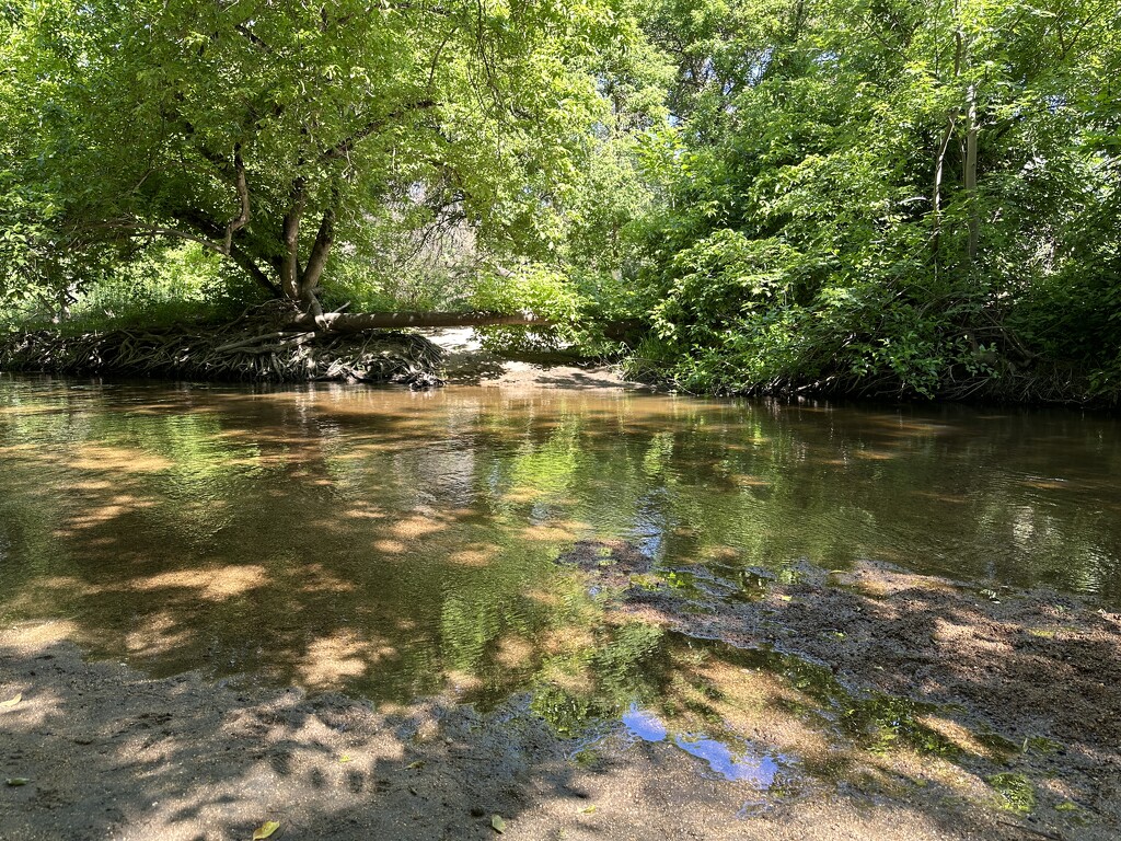Dry Creek is still wet by shutterbug49