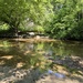 Dry Creek is still wet by shutterbug49