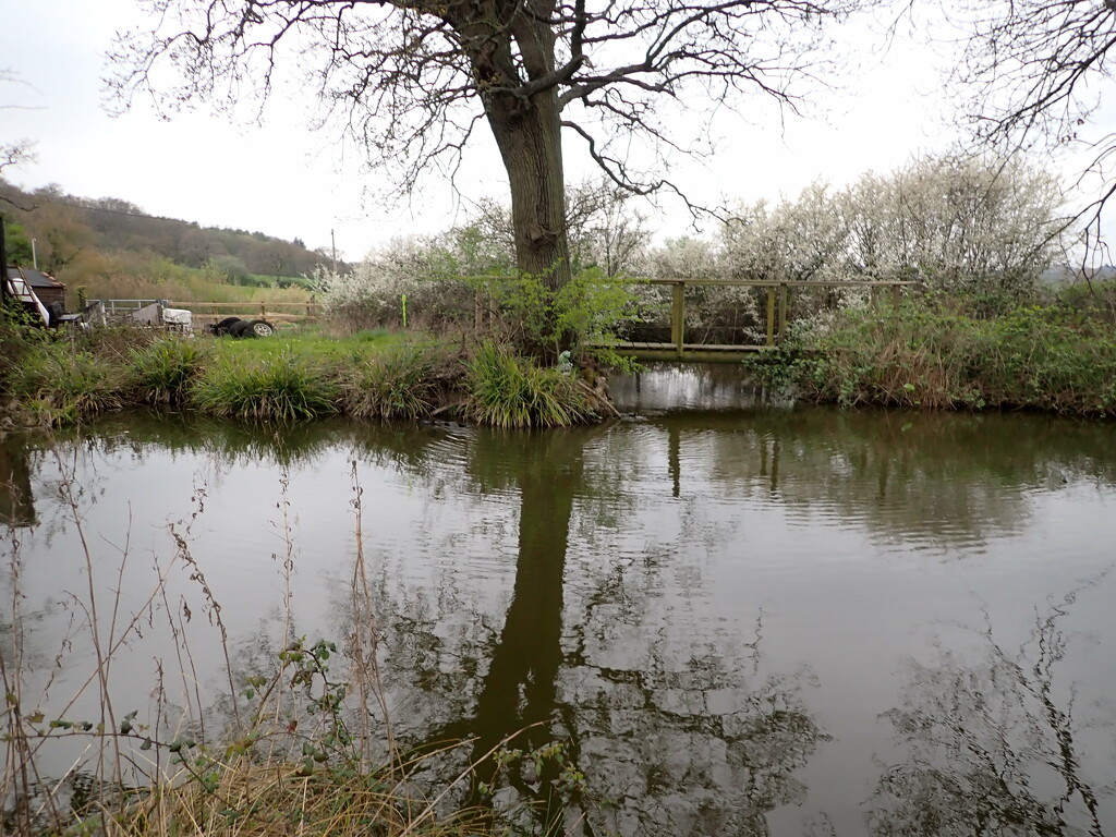 Reflecting on a farmer's pond by speedwell