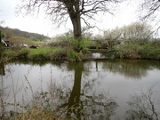 27th Apr 2023 - Reflecting on a farmer's pond