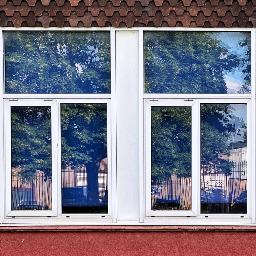 On the window  by gaillambert