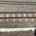 Tracks by sugarmuser