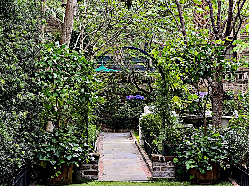 Charleston garden by congaree