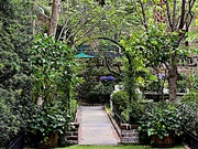 24th May 2023 - Charleston garden