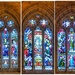 Here is a collage of three of about 40 pictorial windows in St Mary’s Cathedral. The various windows were manufactured in England at various times over a 50 year time span up to 1932. by johnfalconer