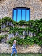 24th May 2023 - A girl, a doll and wisteria 