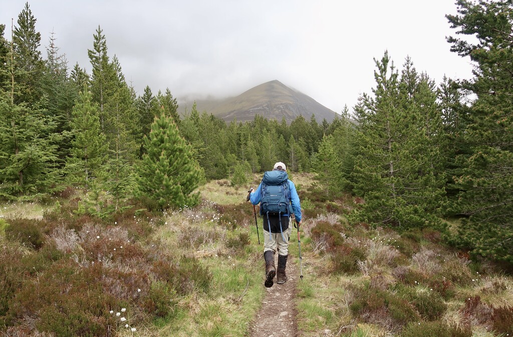 Walking in to Ben Wyvis by jamibann