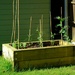 Raised Bed 3 by 365nick