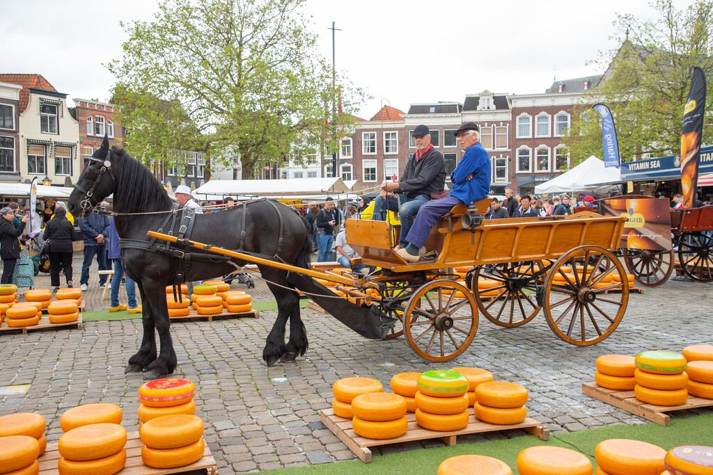 Gouda Cheese Festival by lifeat60degrees