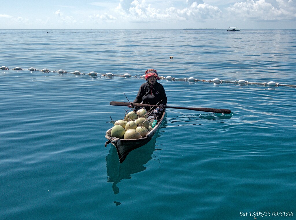 Selling coconut, off Mabul Island, Sipadan by wh2021