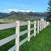 Fence by stownsend