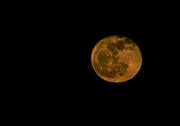 6th May 2023 - Moon at Hilton Head SC