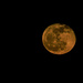 Moon at Hilton Head SC by hjbenson