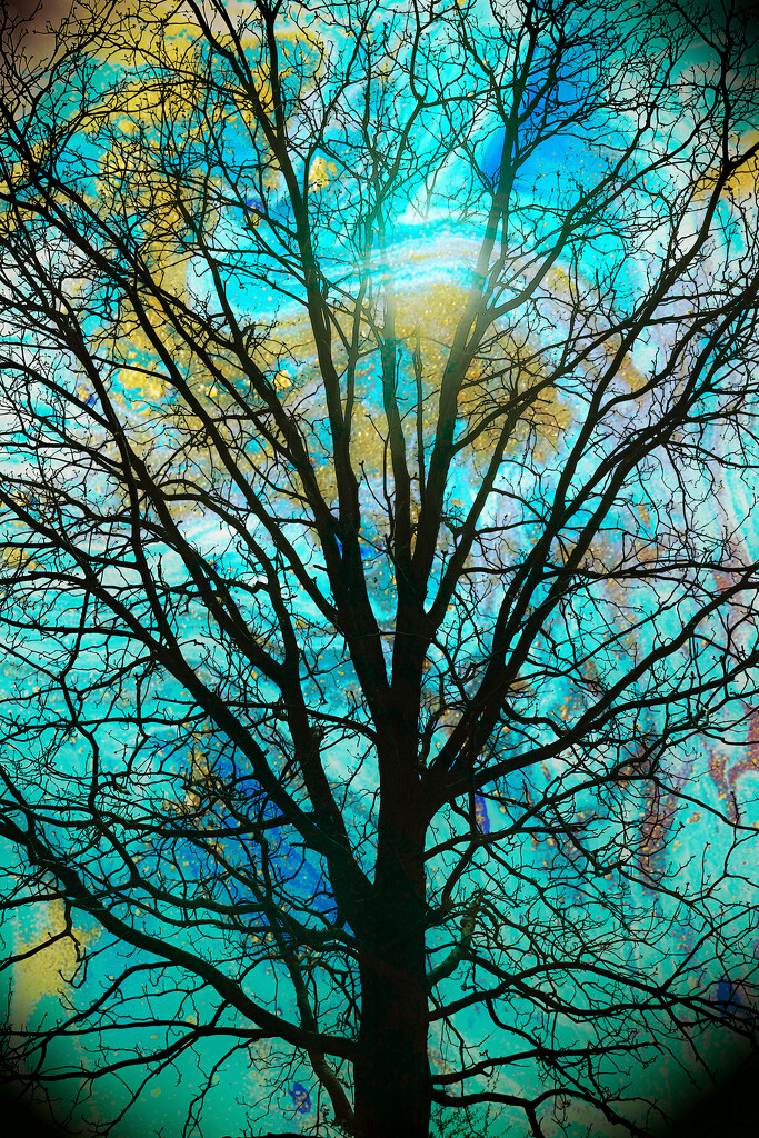 Tree of the World by juliedduncan