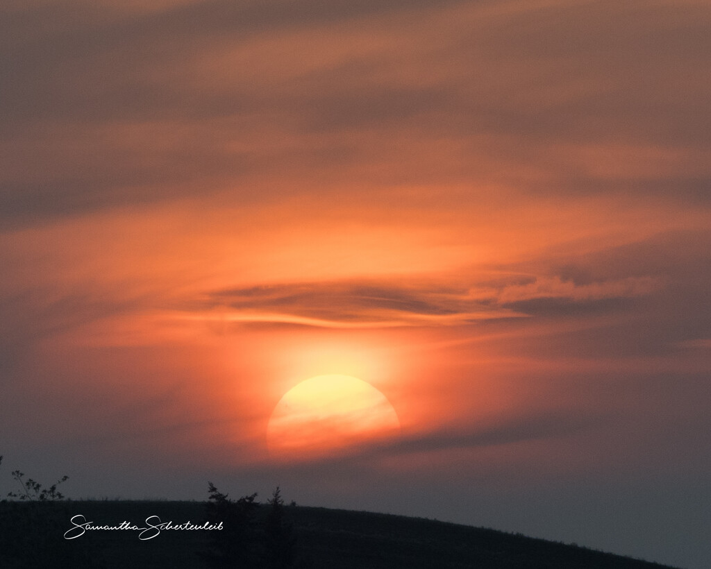 Sunset of fire by sschertenleib