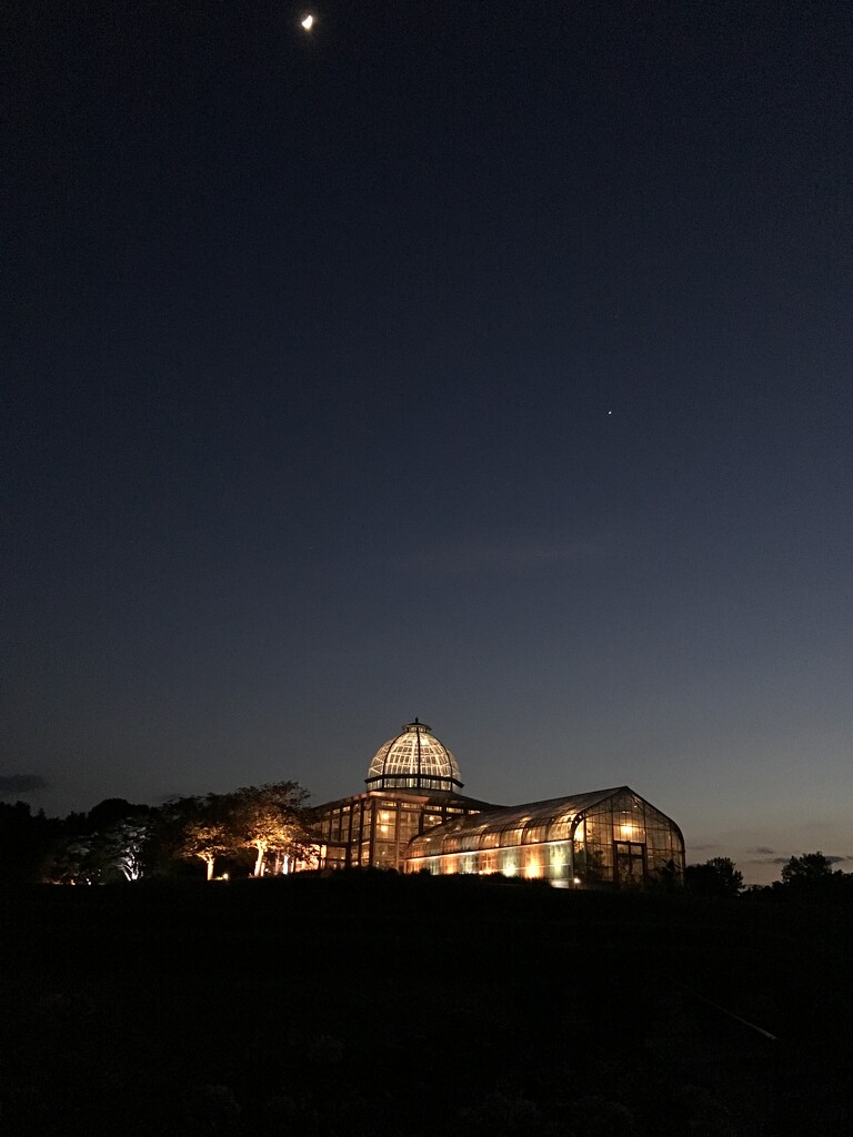 The Conservatory at Night by allie912