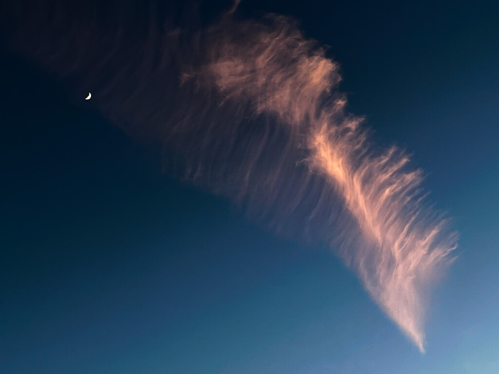Moon and vapour trail at sunset by catangus