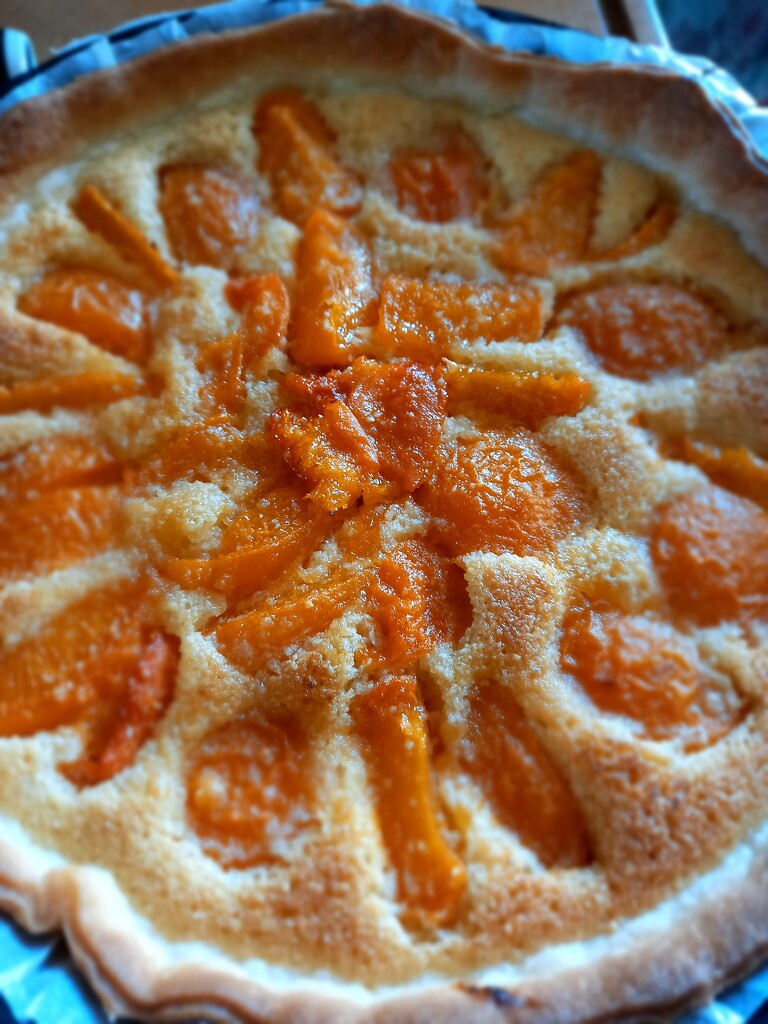 Almond and Apricot Tart by ladypolly