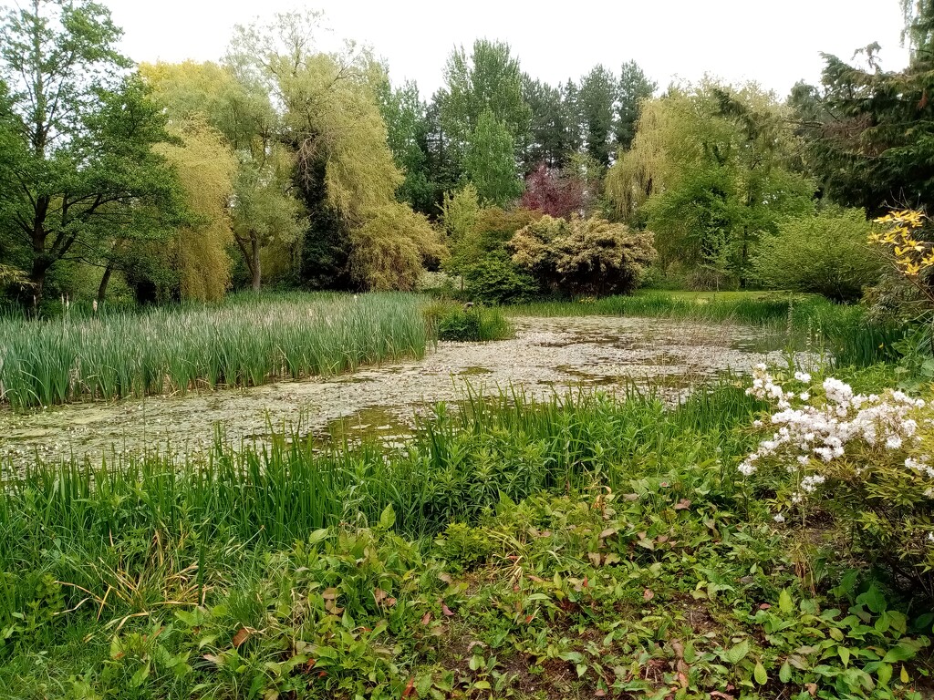 Gooderstone Water Gardens  by g3xbm