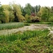 Gooderstone Water Gardens  by g3xbm