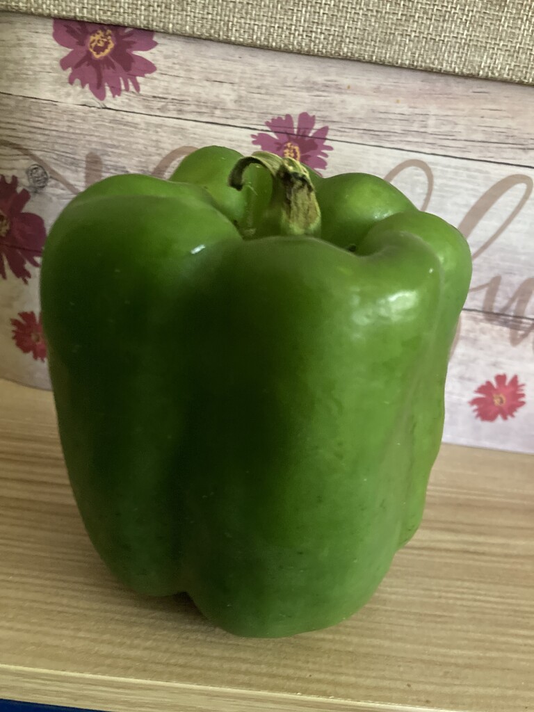 Green Pepper  by spanishliz