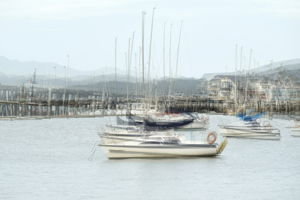 Wobbly yachts by dkbarnett