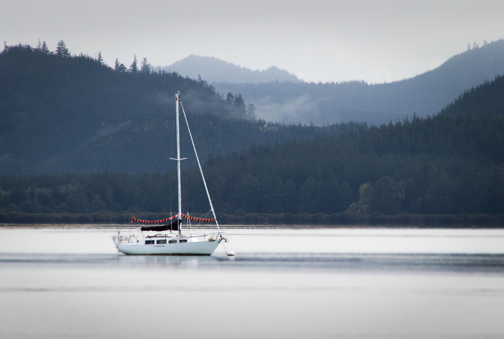 Lone yacht on a gloomy day by 365projectclmutlow