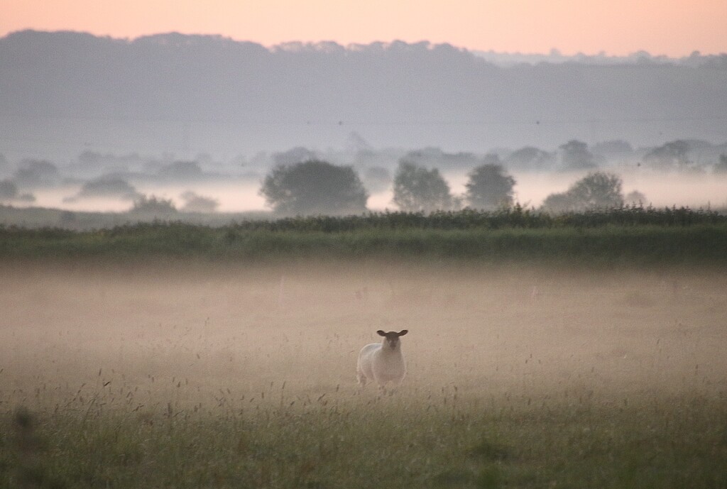 Before Dawn by shepherdman
