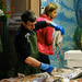 The fish market 