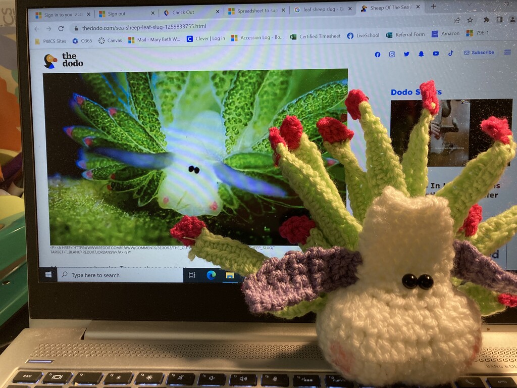 natalie made me a leaf sheep slug! by wiesnerbeth