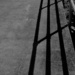 Black lines