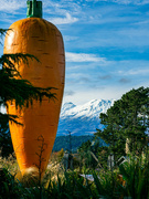 27th May 2023 - The carrot and the mountain